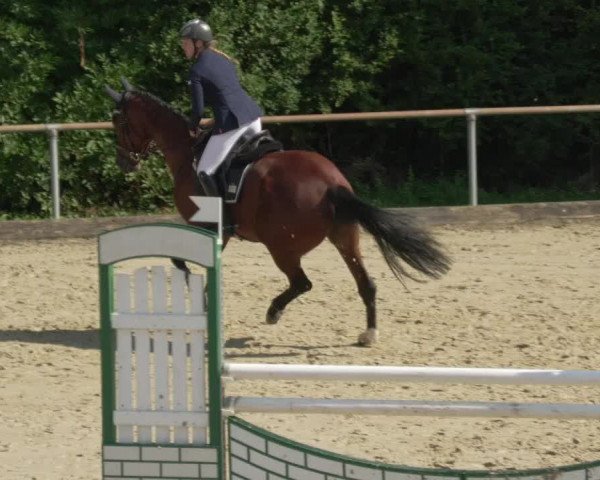 Reitturnier Leingarten 2021