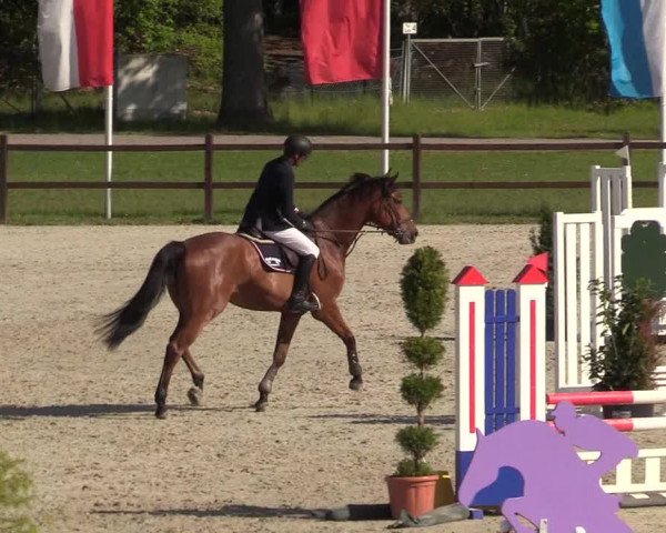 Springturnier Westergellersen III 2020