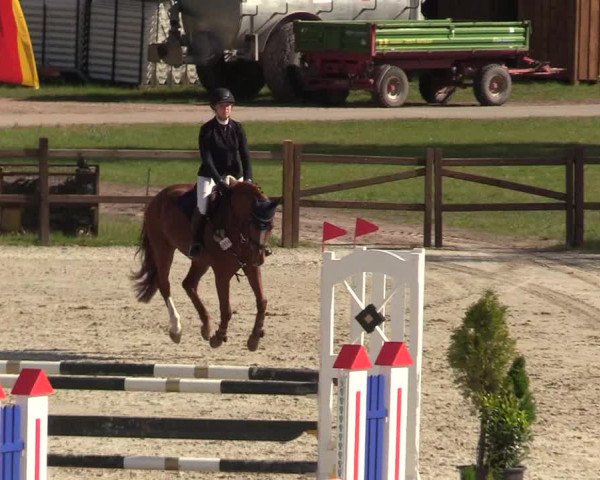 Springturnier Westergellersen III 2020