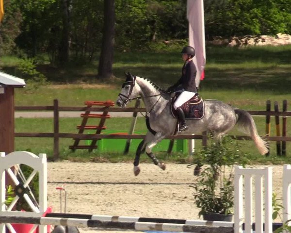 Springturnier Westergellersen III 2020