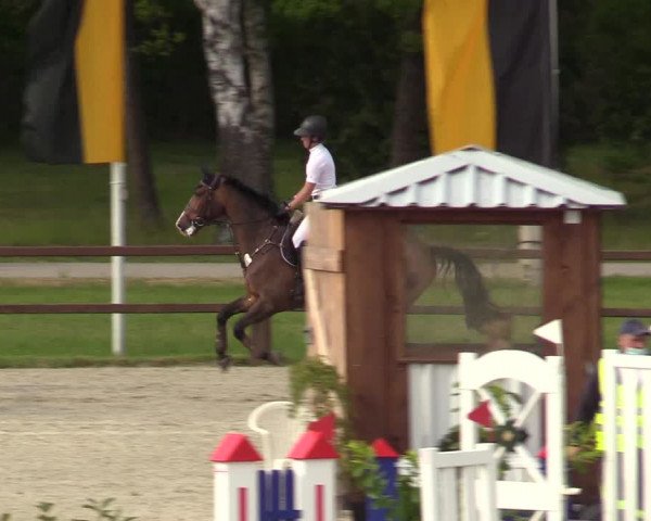 Springturnier Westergellersen III 2020
