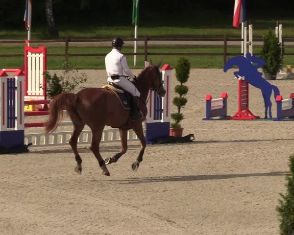 Springturnier Westergellersen III 2020