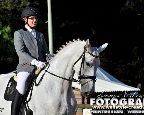 Broodmare Henkel's Corina (Holsteiner, 1997, from Calido I)