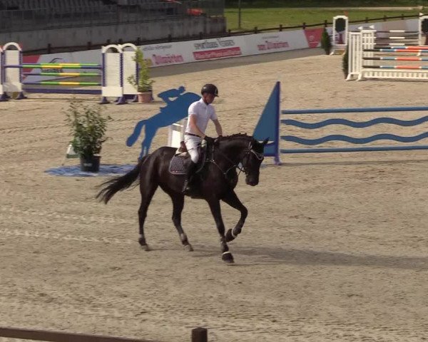 Springturnier Westergellersen III 2020