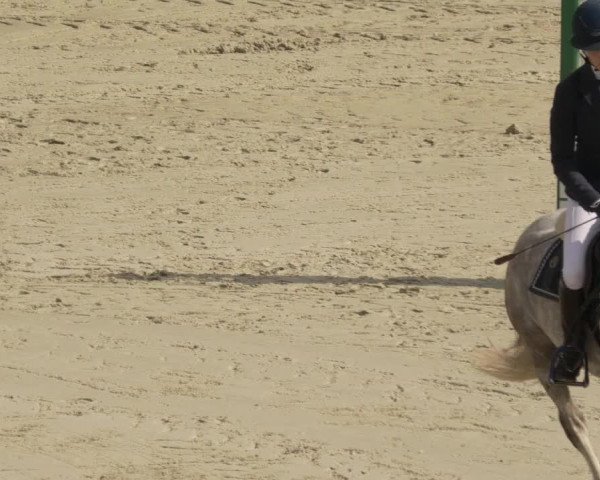 Reitturnier Leingarten 2021