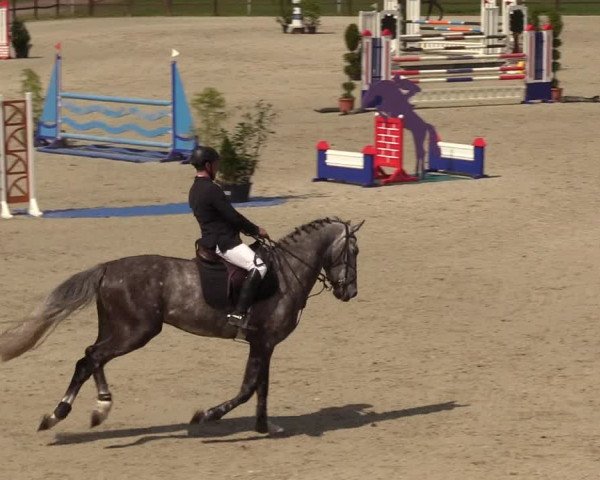 Springturnier Westergellersen III 2020