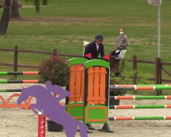 Springturnier Westergellersen III 2020