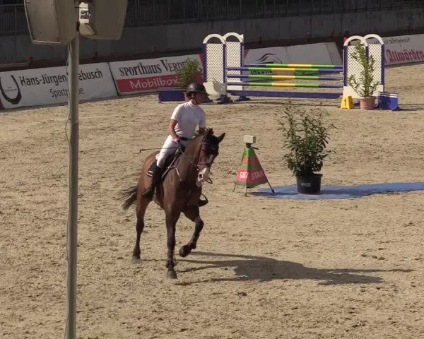 Springturnier Westergellersen III 2020