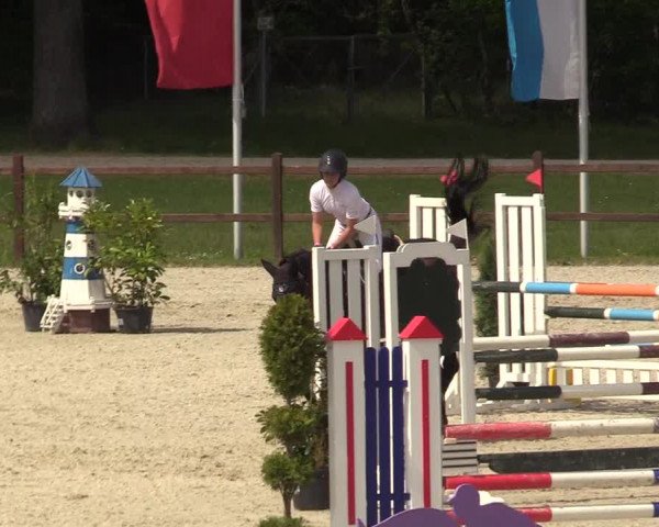 Springturnier Westergellersen III 2020
