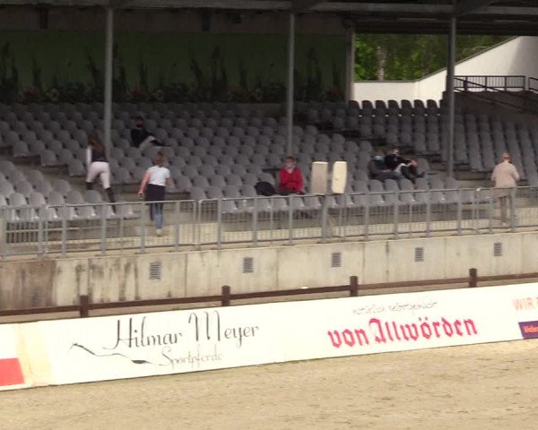 Springturnier Westergellersen III 2020
