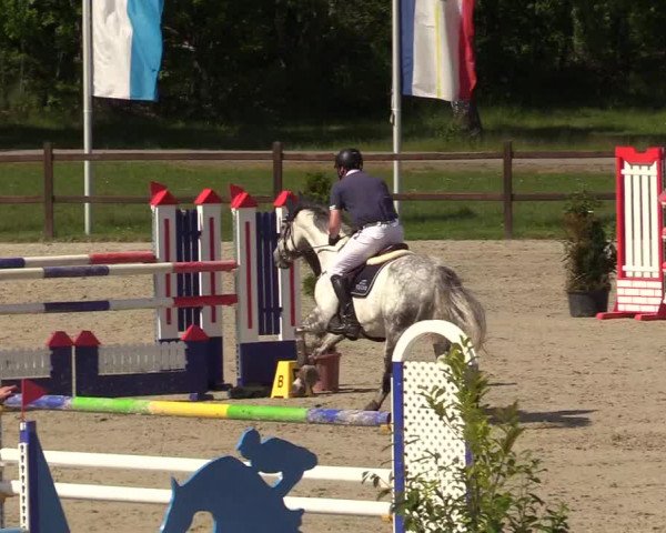 Springturnier Westergellersen III 2020