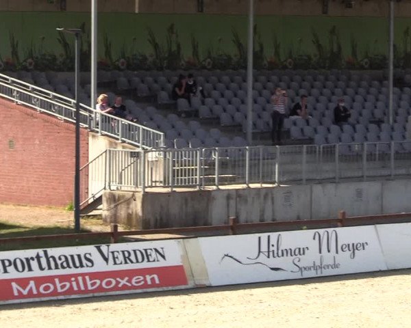 Springturnier Westergellersen III 2020