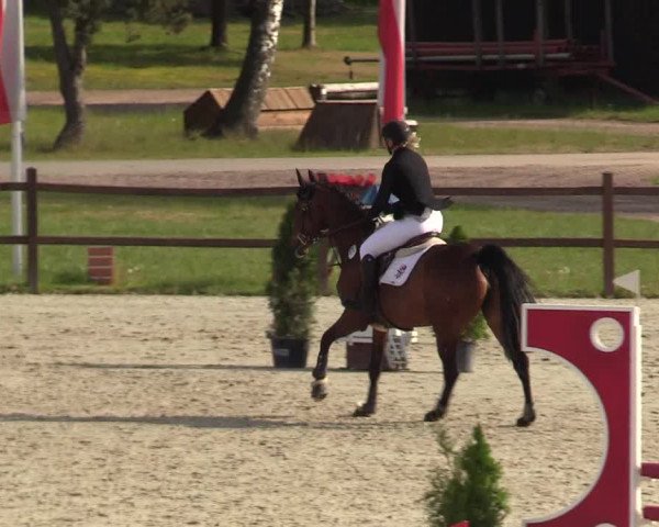 Springturnier Westergellersen III 2020