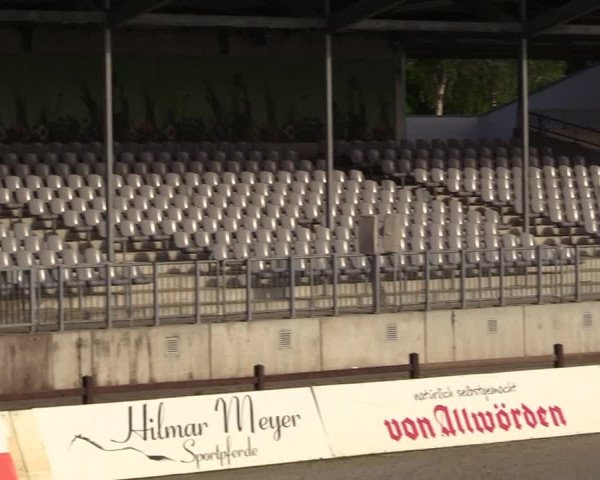 Springturnier Westergellersen III 2020