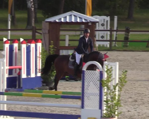 Springturnier Westergellersen III 2020