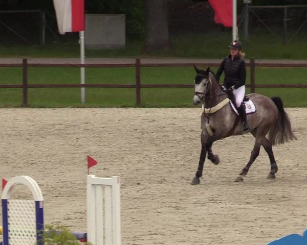 Springturnier Westergellersen III 2020