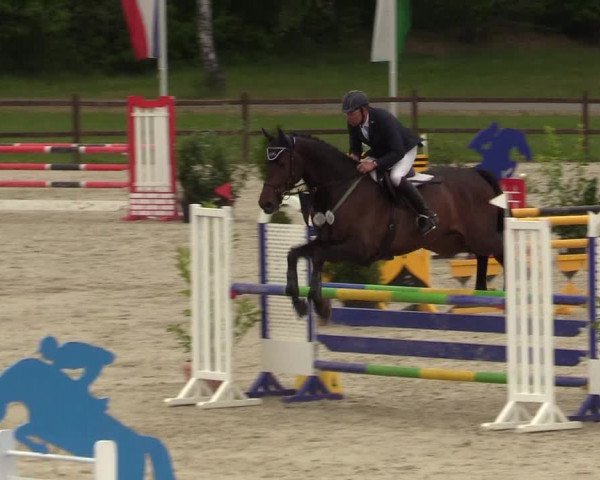Springturnier Westergellersen III 2020