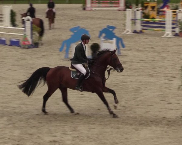 Springturnier Westergellersen III 2020