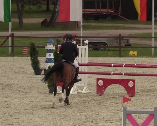 Springturnier Westergellersen III 2020