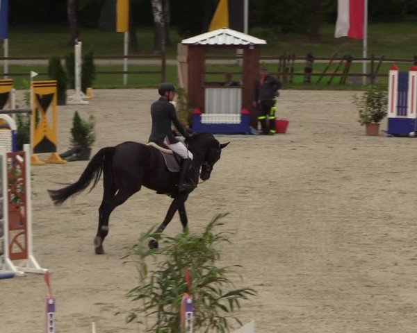 Springturnier Westergellersen III 2020