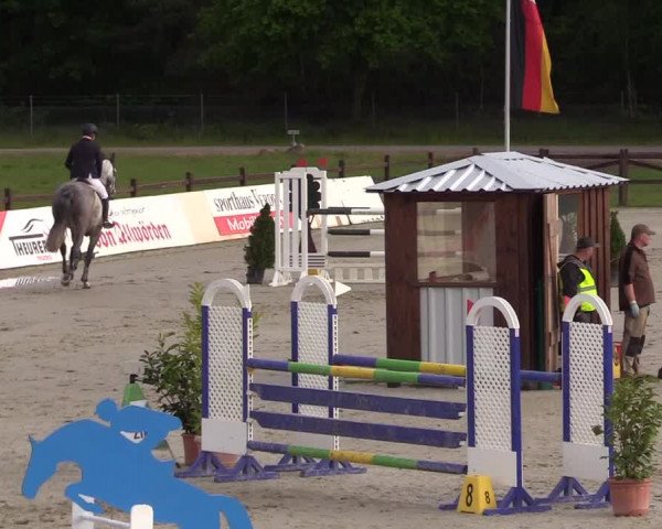 Springturnier Westergellersen III 2020