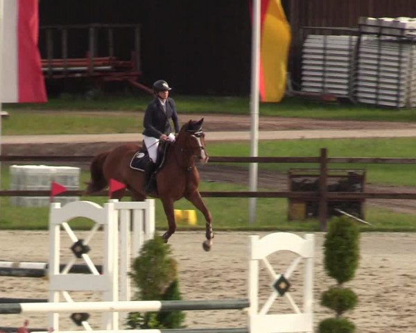 Springturnier Westergellersen III 2020