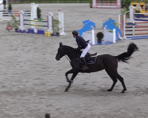 Springturnier Westergellersen III 2020