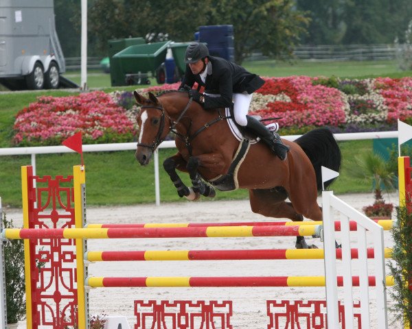 Zuchtstute Karondina V.schl'Hof CH (Schweizer Warmblut, 2002, von Karondo vom Schlösslihof)