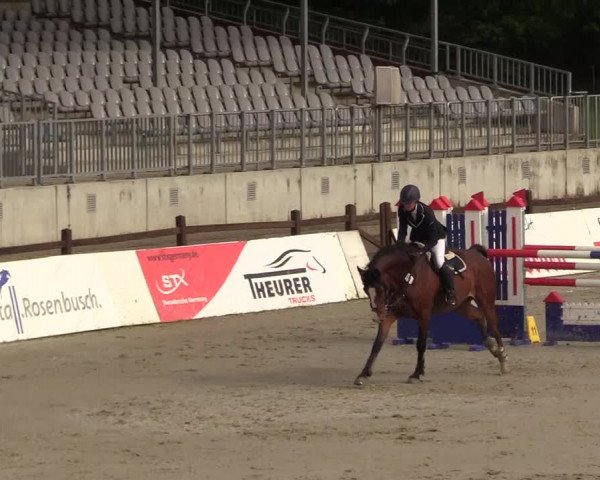Springturnier Westergellersen III 2020