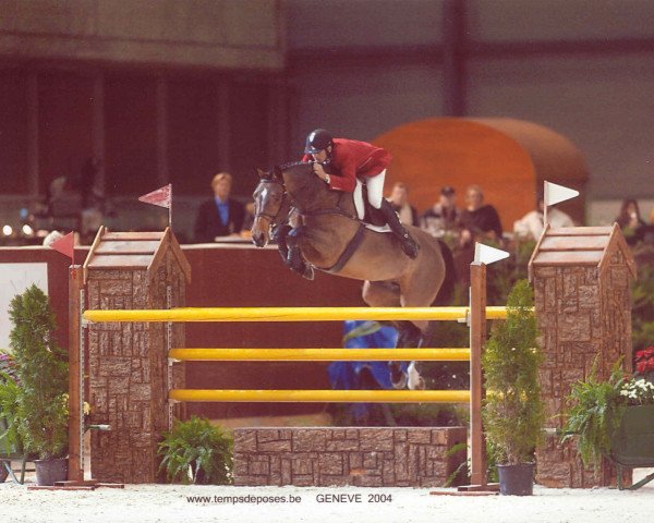 broodmare Cosima R (Württemberger, 1995, from Conway)