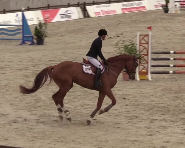 Springturnier Westergellersen III 2020