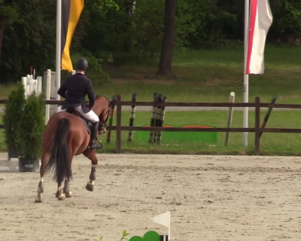 Springturnier Westergellersen III 2020