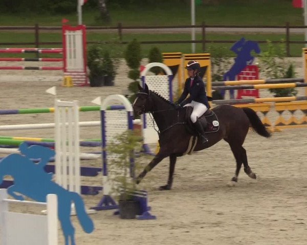 Springturnier Westergellersen III 2020