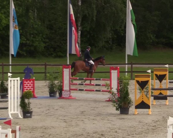 Springturnier Westergellersen III 2020