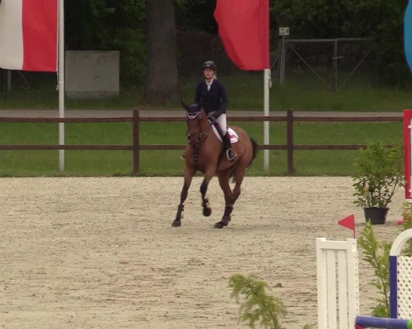 Springturnier Westergellersen III 2020