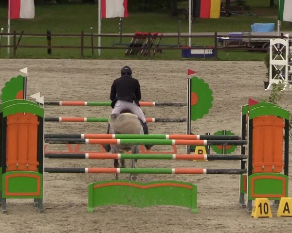 Springturnier Westergellersen III 2020