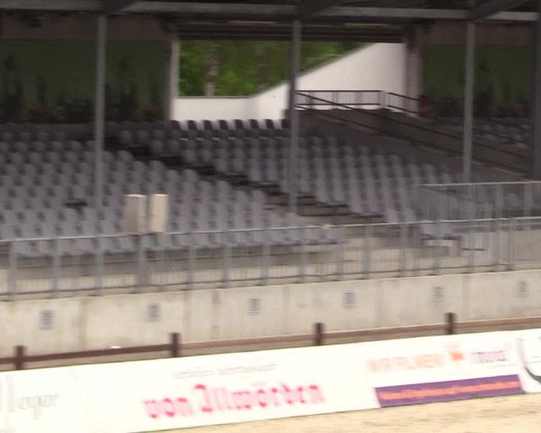 Springturnier Westergellersen III 2020