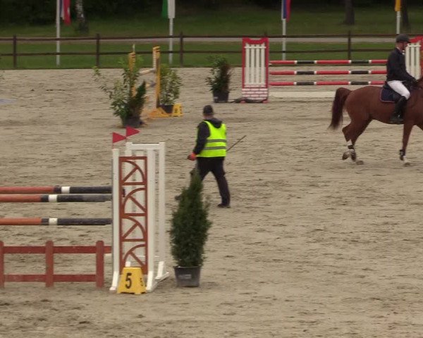 Springturnier Westergellersen III 2020
