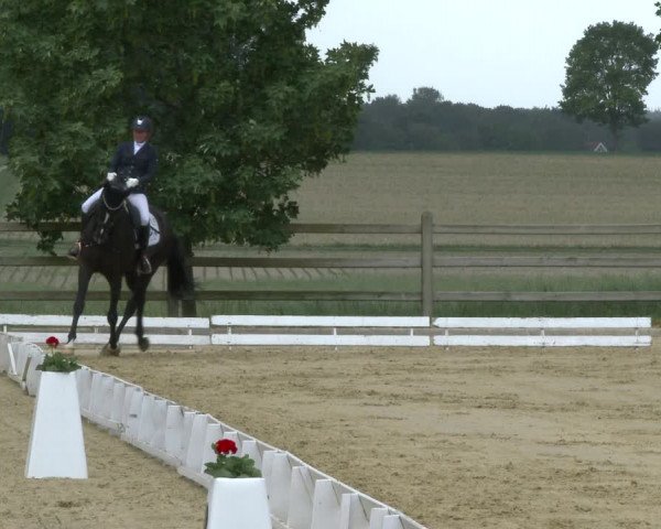 Dressur Late Entry Nottuln-Darup 2020