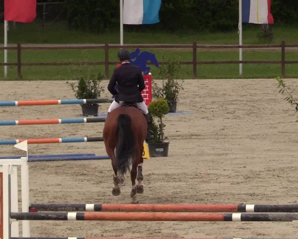 Springturnier Westergellersen III 2020