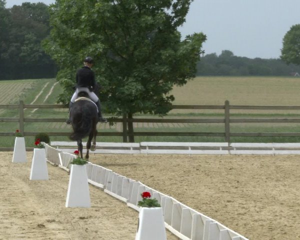 Dressur Late Entry Nottuln-Darup 2020