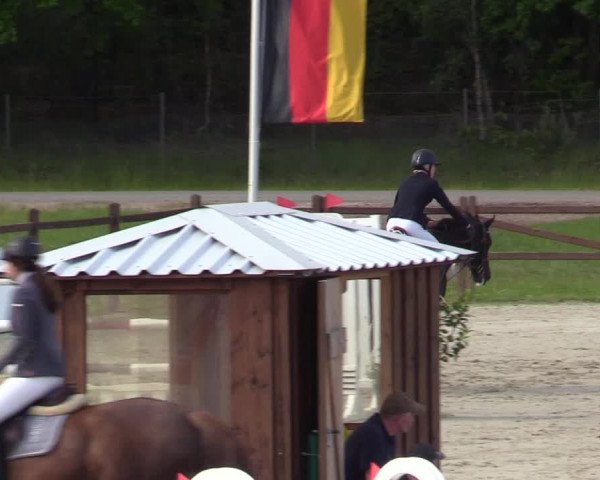 Springturnier Westergellersen III 2020