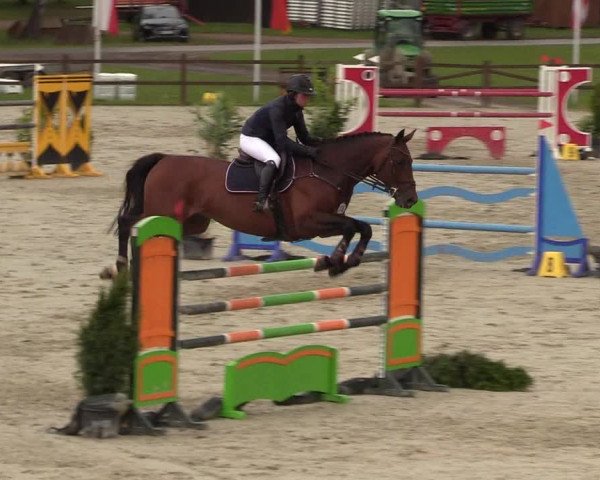Springturnier Westergellersen III 2020