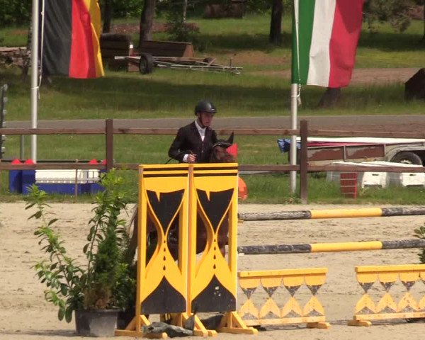 Springturnier Westergellersen III 2020