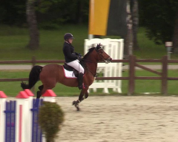 Springturnier Westergellersen III 2020