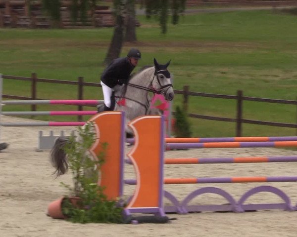 Springturnier Westergellersen III 2020