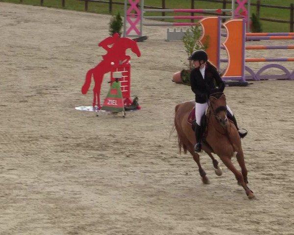 Springturnier Westergellersen III 2020