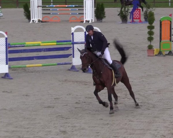 Springturnier Westergellersen III 2020