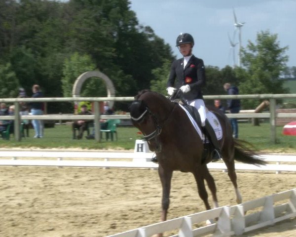 Dressur Late Entry Nottuln-Darup 2020