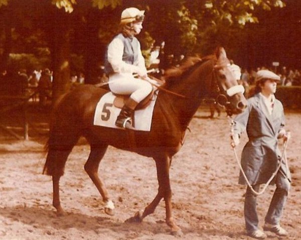 Pferd Brunny Star xx (Englisches Vollblut, 1971, von African Drum xx)
